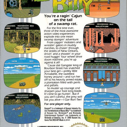The Adventures of Bayou Billy - NES