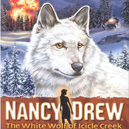 Nancy Drew: The White Wolf of Icicle Creek - Nintendo Wii